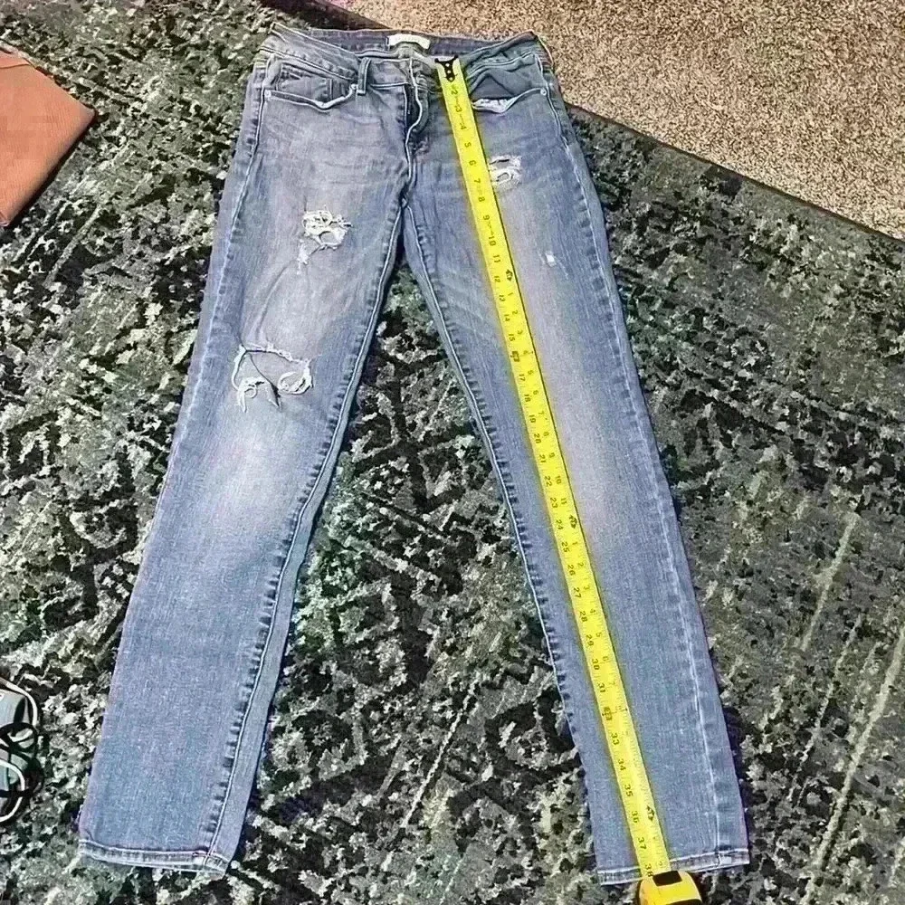 Bullhead - Picture 5 of 6